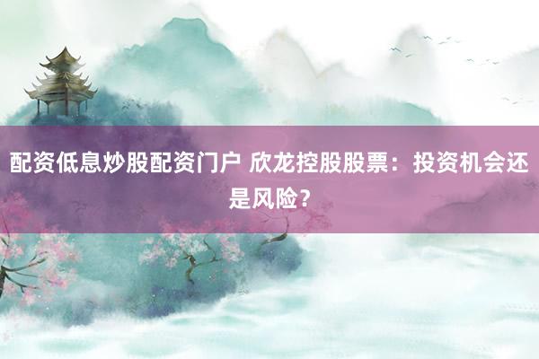 配资低息炒股配资门户 欣龙控股股票：投资机会还是风险？