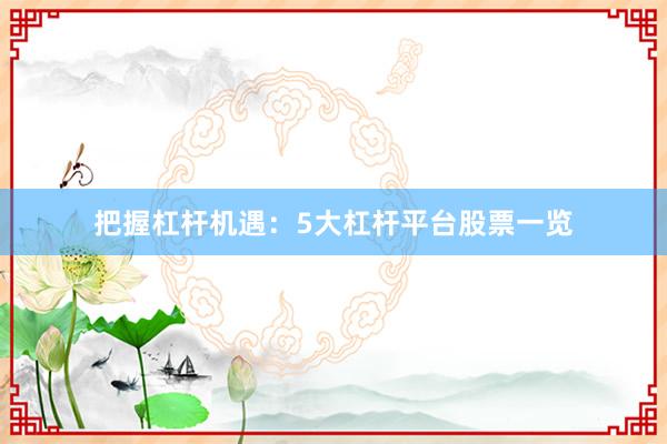 把握杠杆机遇：5大杠杆平台股票一览