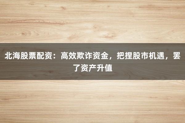 北海股票配资：高效欺诈资金，把捏股市机遇，罢了资产升值
