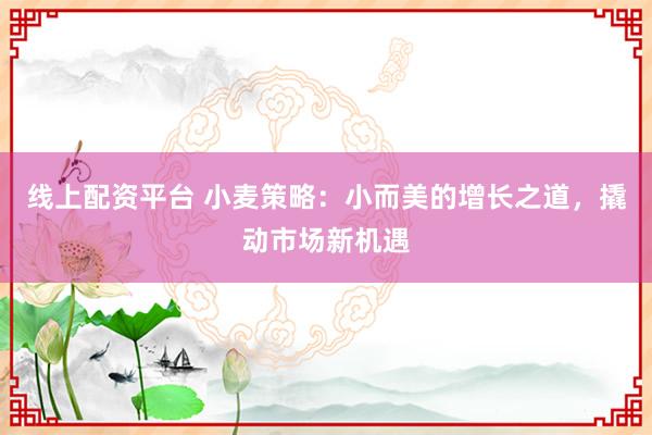 线上配资平台 小麦策略：小而美的增长之道，撬动市场新机遇
