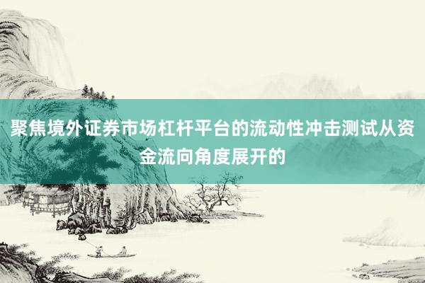 聚焦境外证券市场杠杆平台的流动性冲击测试从资金流向角度展开的