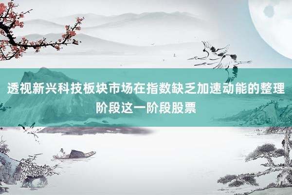 透视新兴科技板块市场在指数缺乏加速动能的整理阶段这一阶段股票