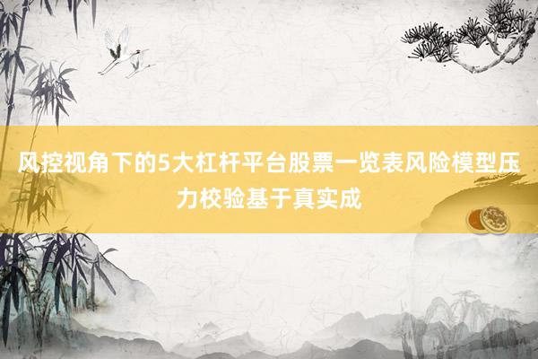 风控视角下的5大杠杆平台股票一览表风险模型压力校验基于真实成