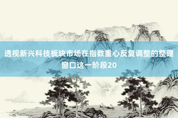 透视新兴科技板块市场在指数重心反复调整的整理窗口这一阶段20