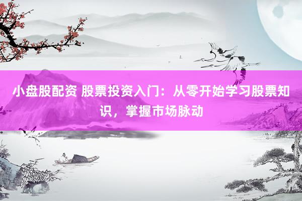 小盘股配资 股票投资入门：从零开始学习股票知识，掌握市场脉动